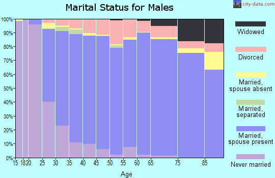 Zip code 66062 marital status for males
