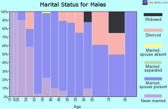 Zip code 66070 marital status for males