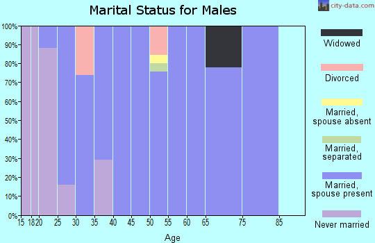 Zip code 66078 marital status for males
