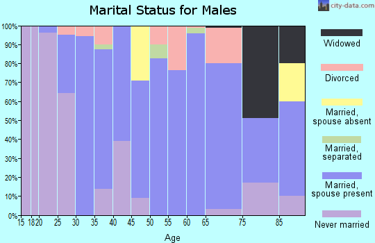 Zip code 66401 marital status for males