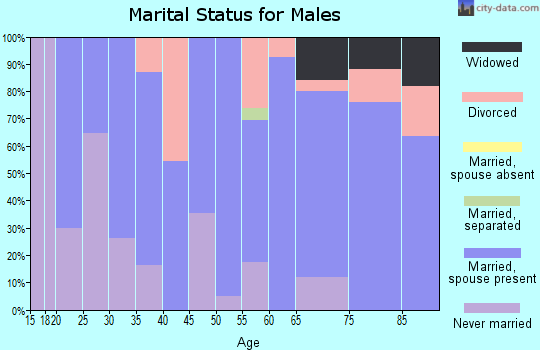 Zip code 66403 marital status for males