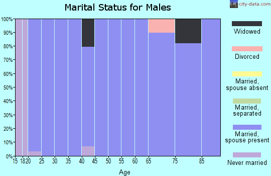 Zip code 66404 marital status for males