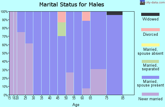 Zip code 66408 marital status for males