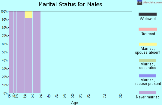 Zip code 66506 marital status for males