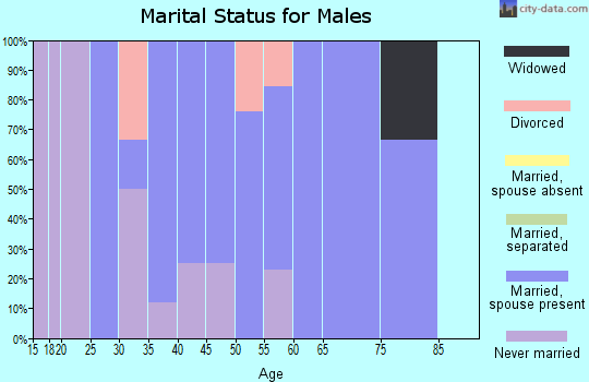 Zip code 66516 marital status for males