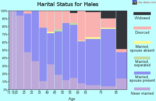 Zip code 66606 marital status for males