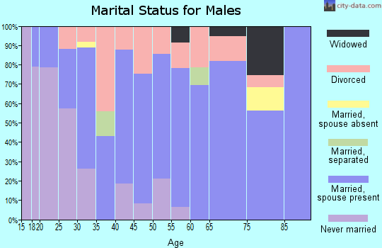 Zip code 66609 marital status for males