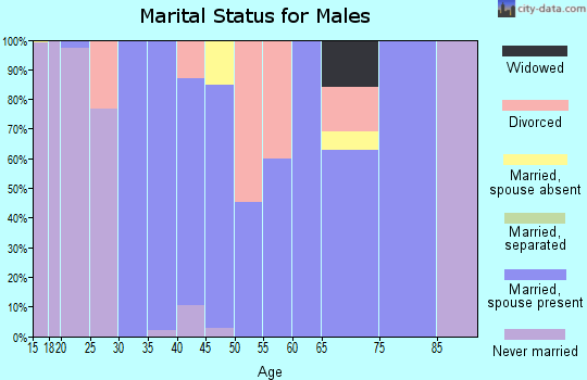 Zip code 66615 marital status for males