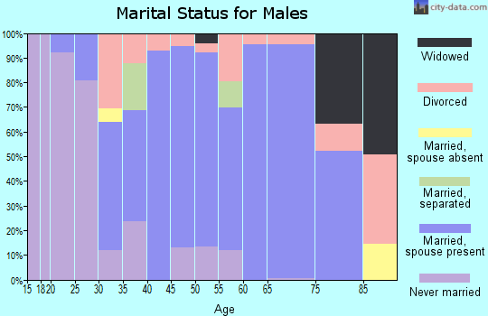 Zip code 66713 marital status for males