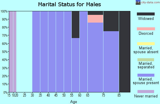 Zip code 66740 marital status for males