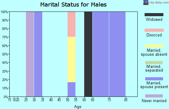 Zip code 66741 marital status for males