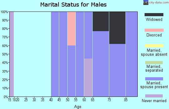 Zip code 66838 marital status for males