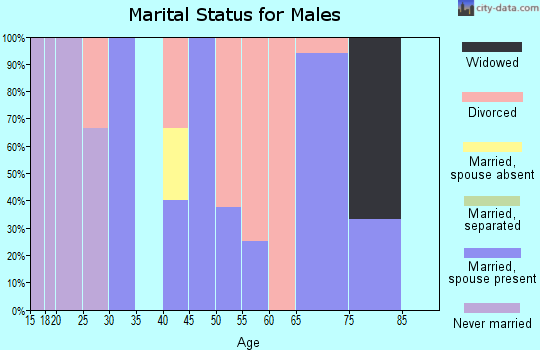 Zip code 66960 marital status for males