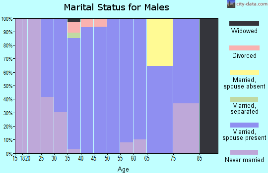 Zip code 67001 marital status for males