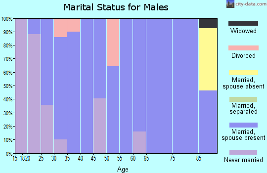 Zip code 67062 marital status for males