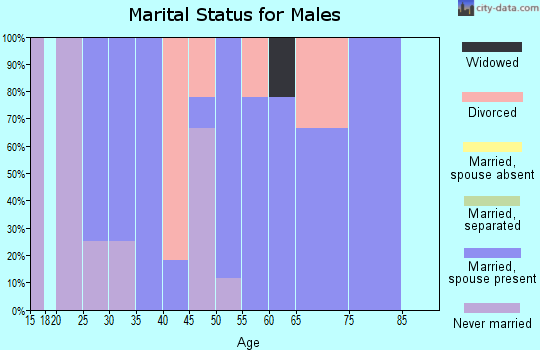 Zip code 67066 marital status for males