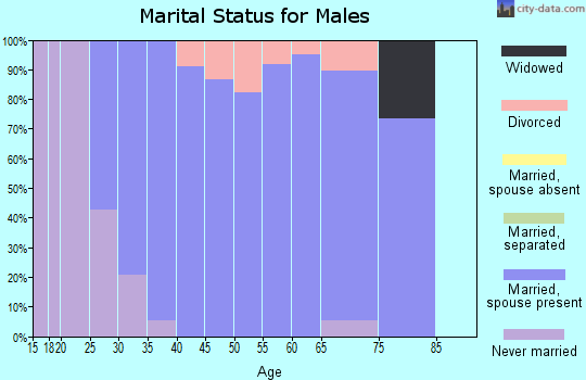 Zip code 67067 marital status for males