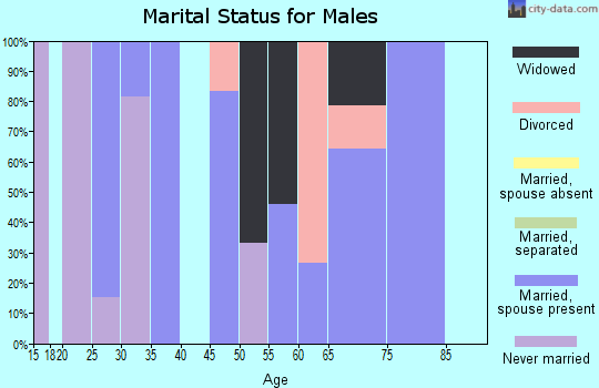 Zip code 67073 marital status for males