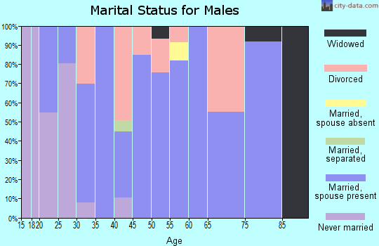 Zip code 67074 marital status for males