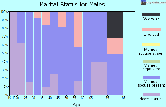 Zip code 67101 marital status for males