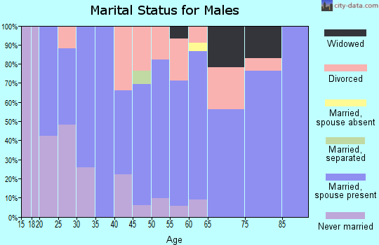 Zip code 67104 marital status for males