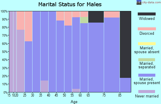 Zip code 67119 marital status for males