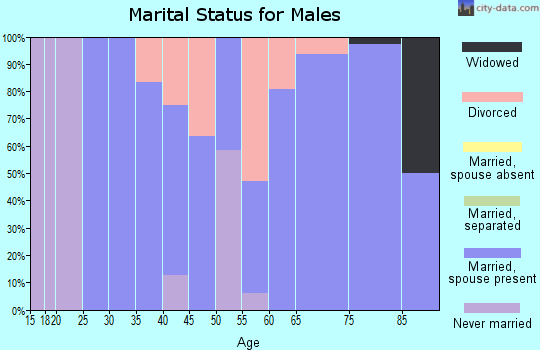Zip code 67123 marital status for males