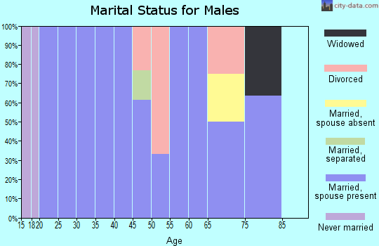 Zip code 67132 marital status for males