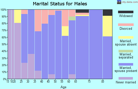 Zip code 67133 marital status for males