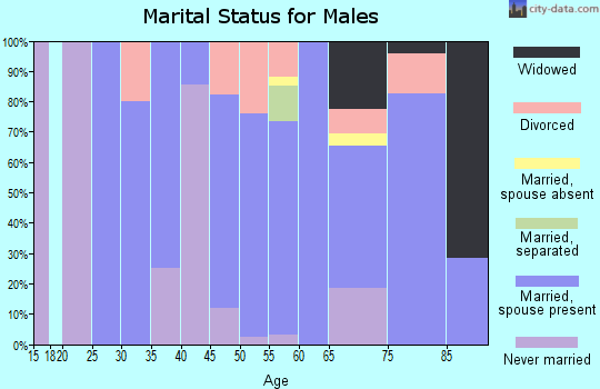Zip code 67137 marital status for males
