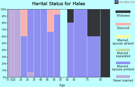 Zip code 67138 marital status for males