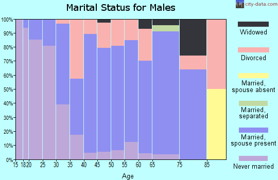 Zip code 67146 marital status for males