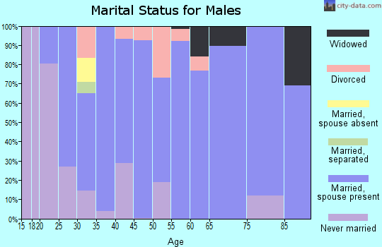 Zip code 67147 marital status for males
