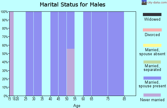 Zip code 67341 marital status for males