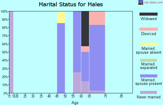 Zip code 67345 marital status for males