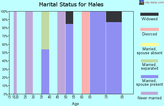 Zip code 67355 marital status for males
