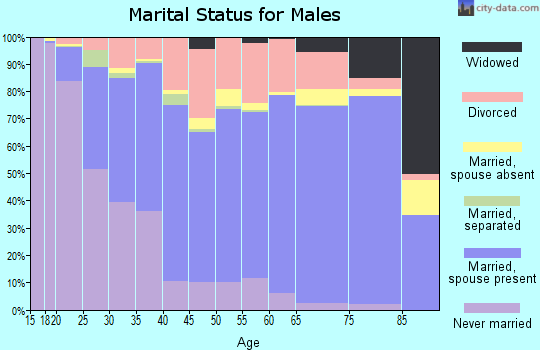 Zip code 67401 marital status for males