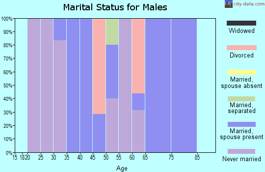 Zip code 67417 marital status for males