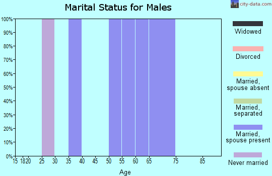 Zip code 67513 marital status for males
