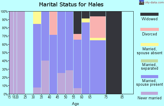 Zip code 67567 marital status for males
