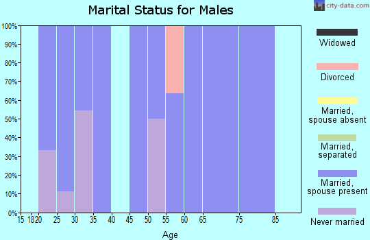 Zip code 67573 marital status for males