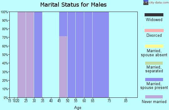 Zip code 68001 marital status for males