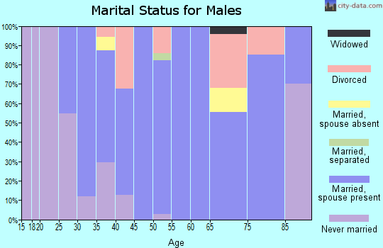 Zip code 68002 marital status for males
