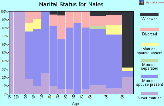 Zip code 68003 marital status for males