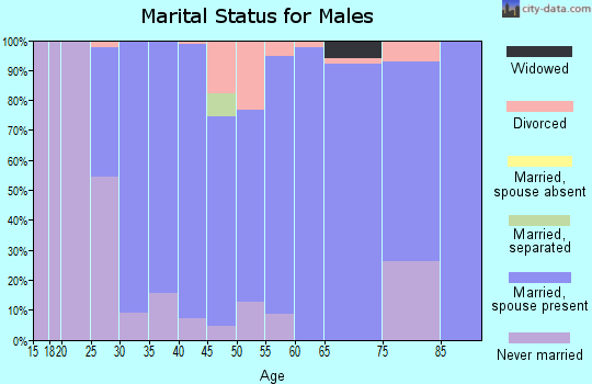 Zip code 68007 marital status for males