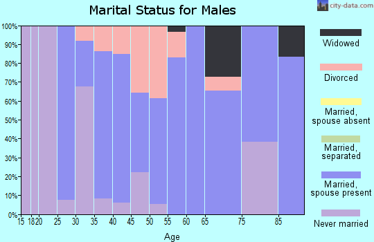 Zip code 68017 marital status for males