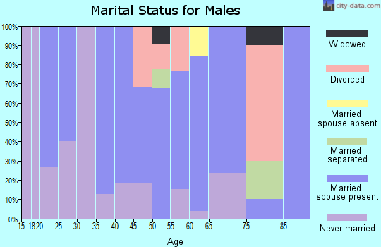Zip code 68019 marital status for males