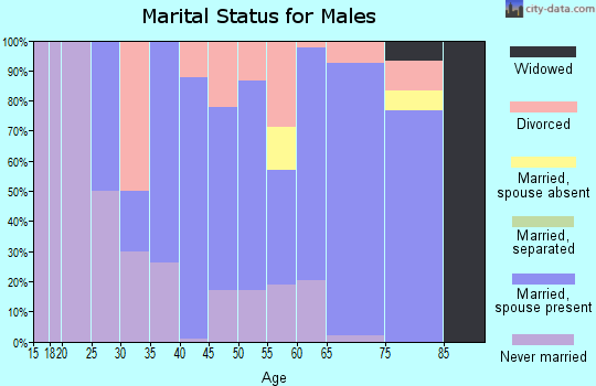 Zip code 68065 marital status for males