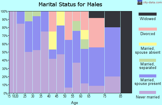 Zip code 68067 marital status for males