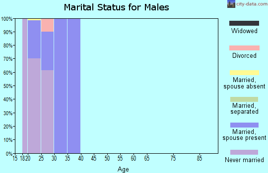 Zip code 68113 marital status for males